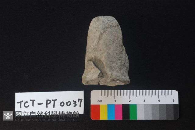 陶蓋鈕藏品圖，第4張