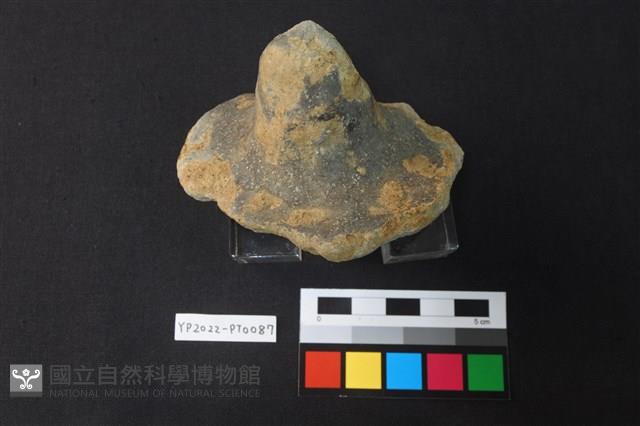 碗/淺盤型陶蓋藏品圖，第4張