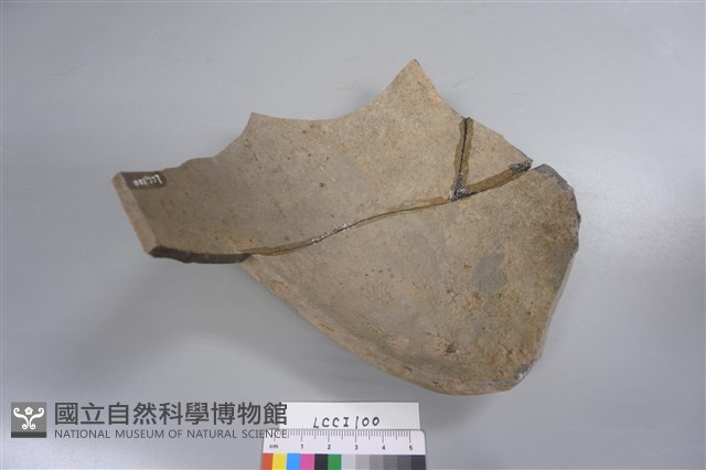陶片藏品圖，第4張
