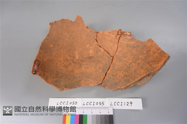 陶片藏品圖，第4張