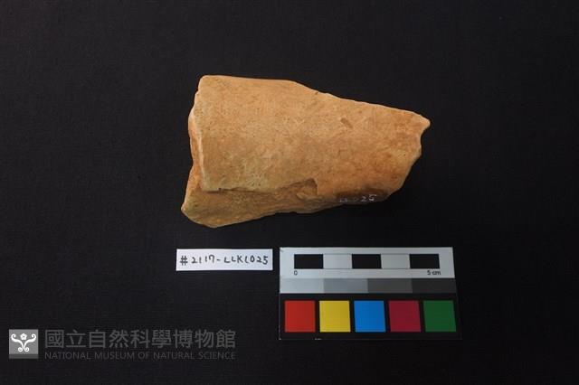 陶片藏品圖，第4張