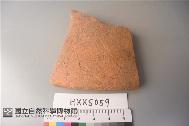 陶片藏品圖，第4張