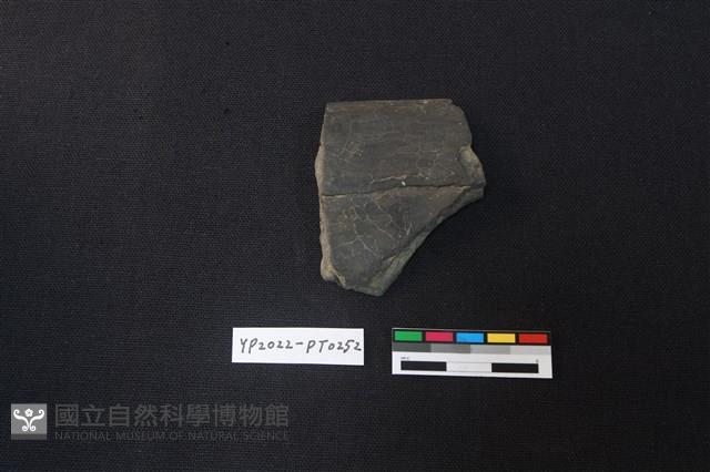 陶片藏品圖，第2張