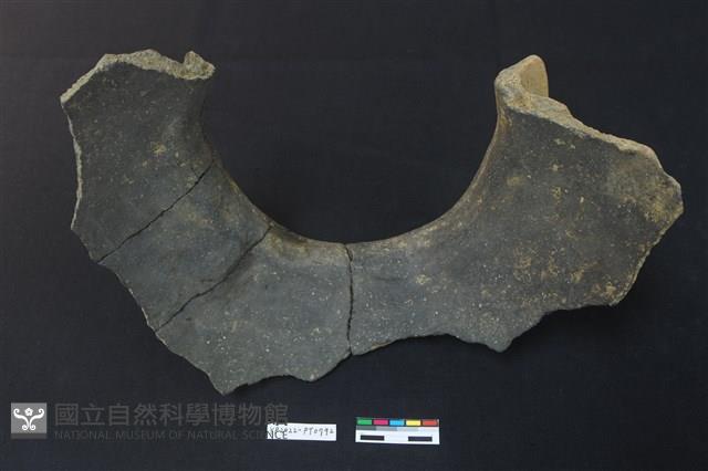 陶片藏品圖，第2張