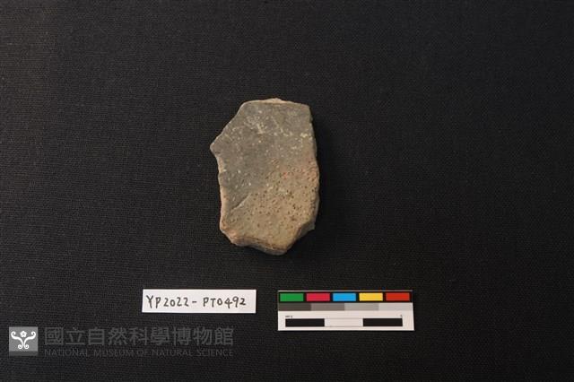 陶片藏品圖，第2張