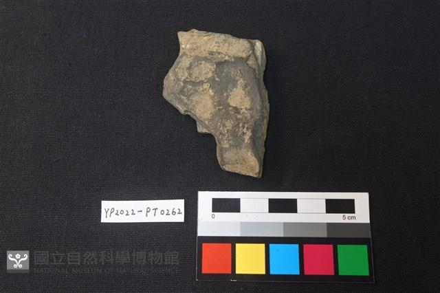 陶片藏品圖，第2張