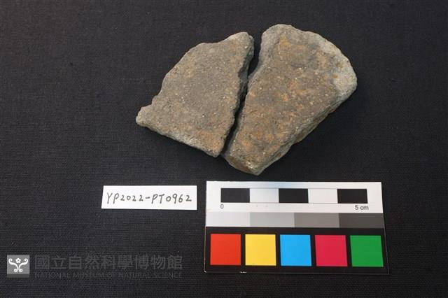 陶片藏品圖，第2張