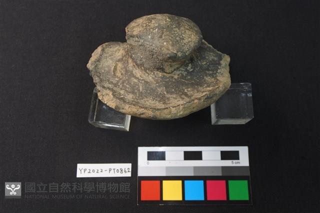 蓋鈕藏品圖，第2張