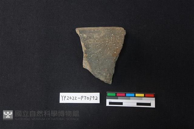陶片藏品圖，第2張