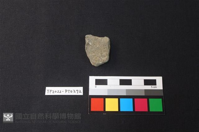 陶片藏品圖，第2張
