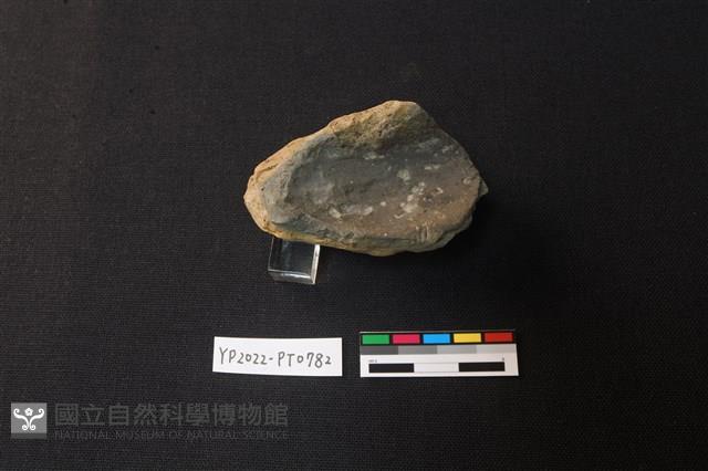 陶片藏品圖，第2張