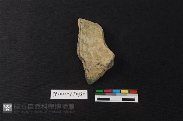 陶片藏品圖，第2張