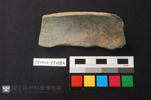 陶片藏品圖，第2張