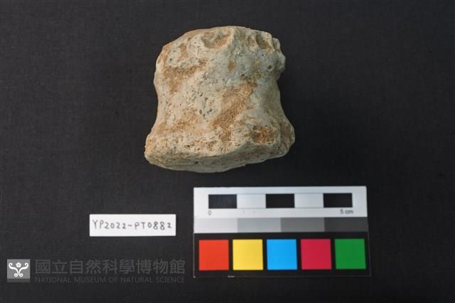 陶鈕藏品圖，第2張