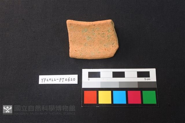 陶片藏品圖，第2張