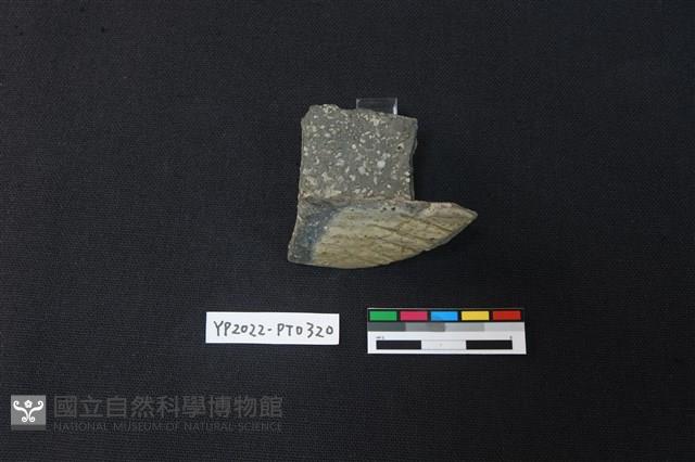 陶片藏品圖，第2張
