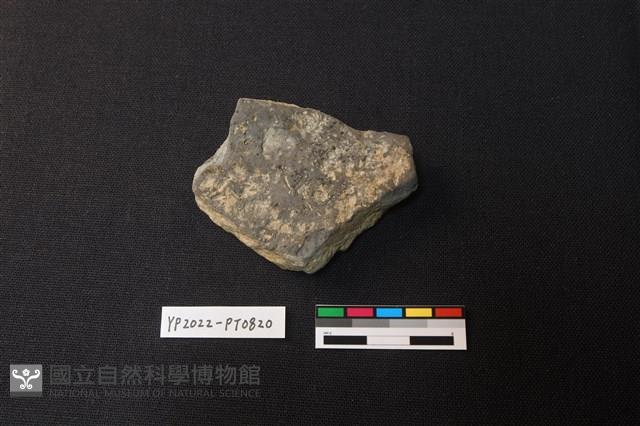 陶片藏品圖，第2張