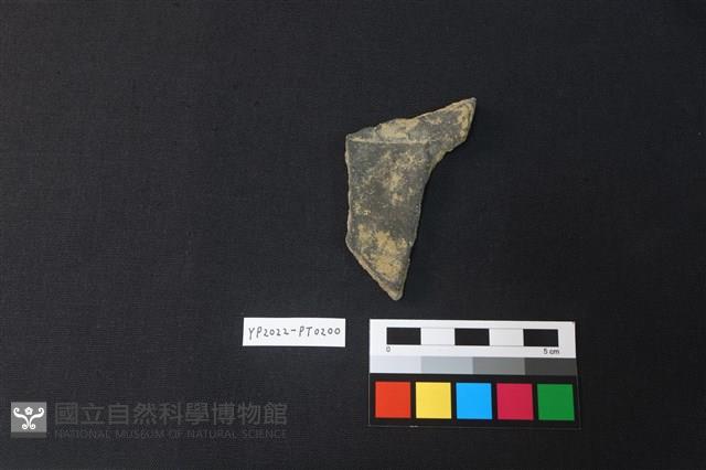 陶片藏品圖，第2張