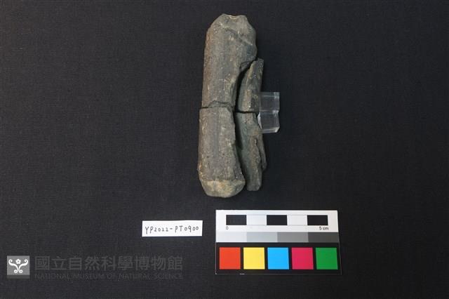 陶網墜藏品圖，第2張