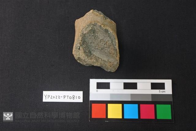 陶鈕藏品圖，第2張