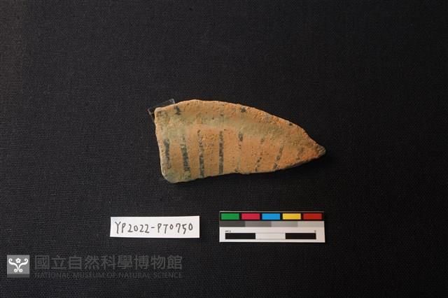 陶片藏品圖，第2張