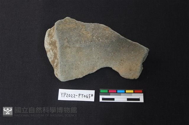 陶片藏品圖，第2張