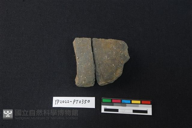 陶片藏品圖，第2張