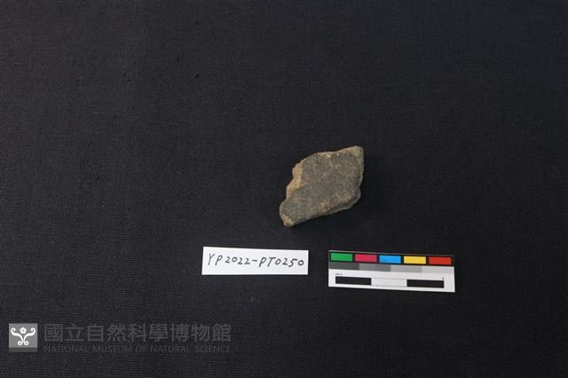 陶片藏品圖，第2張