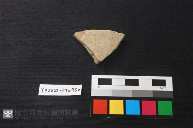 陶片藏品圖，第2張