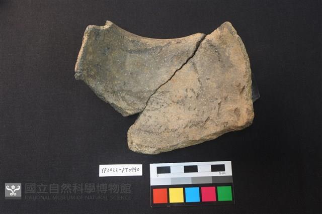陶片藏品圖，第2張