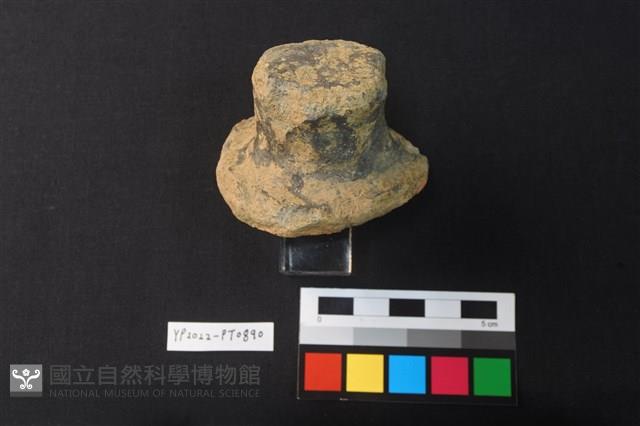 陶蓋鈕藏品圖，第2張