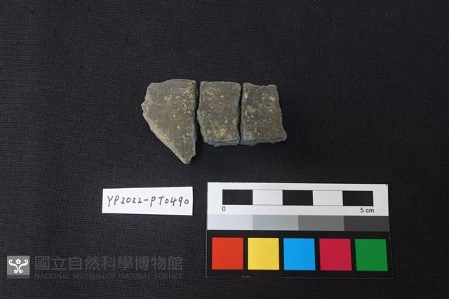 陶片藏品圖，第2張