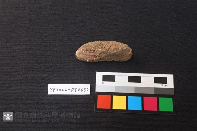 火燒土藏品圖，第2張
