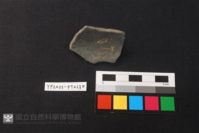 陶片藏品圖，第2張