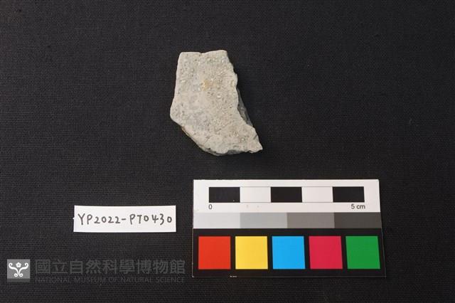 陶片藏品圖，第2張