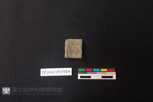 陶片藏品圖，第2張