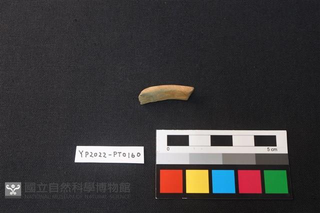 陶環藏品圖，第2張