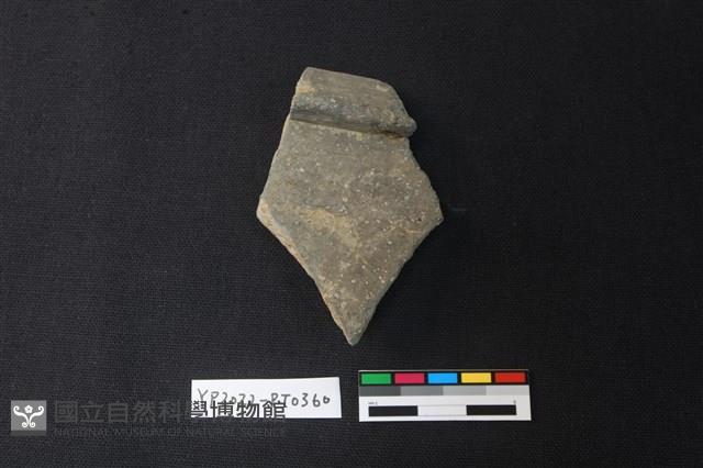 陶片藏品圖，第2張