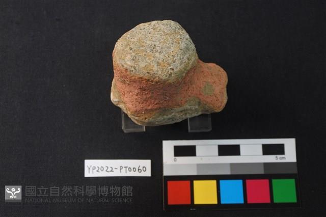 碗/淺盤型陶蓋藏品圖，第2張