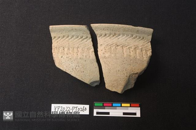 陶片藏品圖，第2張