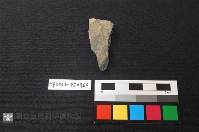 陶片藏品圖，第2張