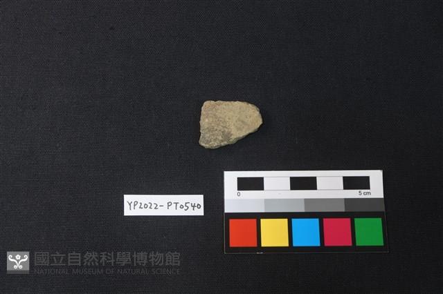 陶片藏品圖，第2張