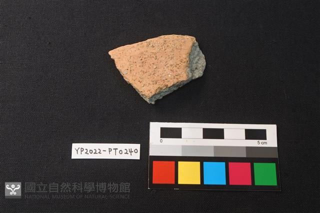 陶片藏品圖，第2張