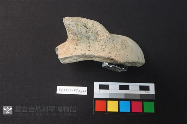 蓋鈕藏品圖，第2張