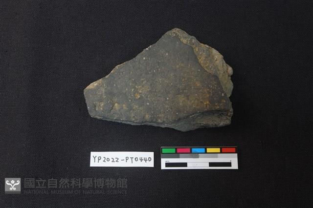 陶片藏品圖，第2張
