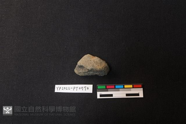 陶片藏品圖，第2張