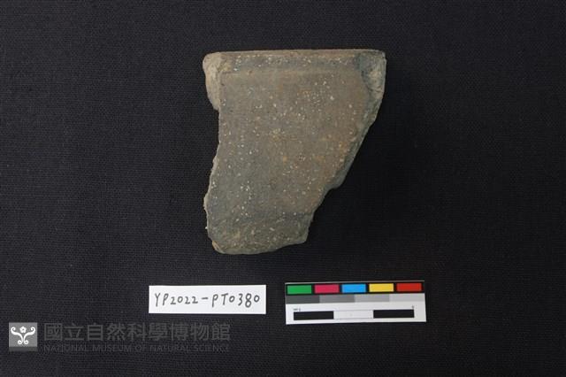 陶片藏品圖，第2張