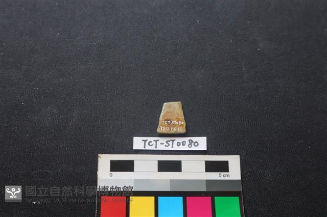 矛鏃形器藏品圖，第2張