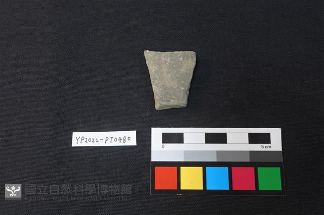 陶片藏品圖，第2張