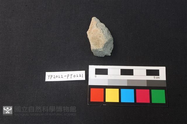 陶片藏品圖，第2張